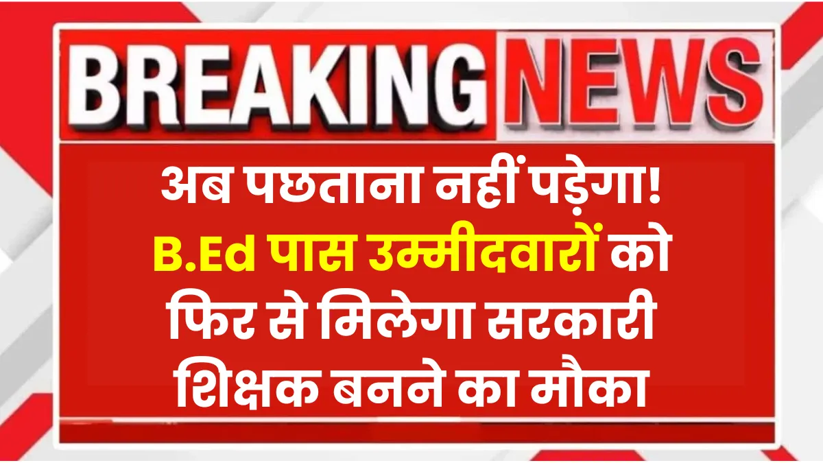 B.Ed Degree News 2025